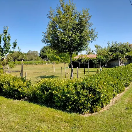 Maison Familiale De Charme 11 Personnes Dans Le Medoc Holiday home