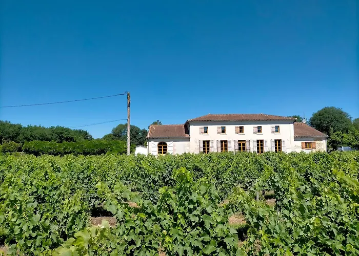 Chateau Fongiras 11 Personnes Medoc * Saint-Germain-dʼEsteuil