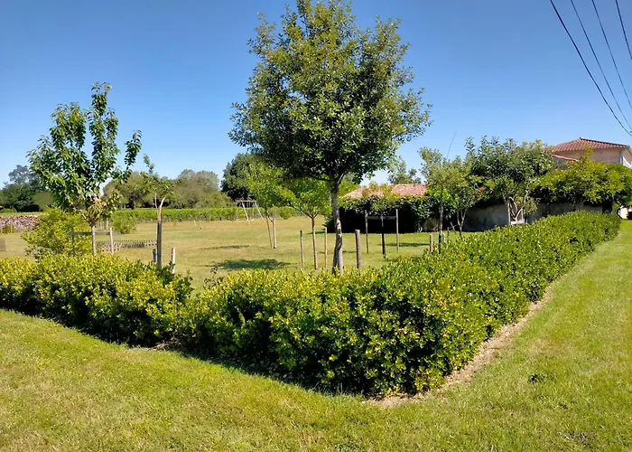 Chateau Fongiras 11 Personnes Medoc Tatil Evi